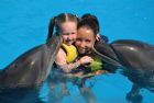 Swimming With Dolphins Excursion in Sharm el Sheikh